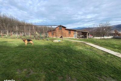 Casă cu 5 camere cu Teren 3700 Mp în Șoimuș - 11