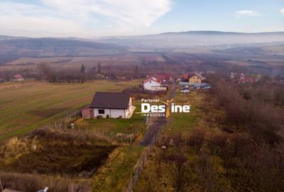 Casă cu 3 camere cu Canalizare în Ciurea - 18