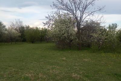 Spațiu comercial, în Industrială - 2