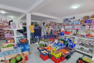 Spațiu comercial, în Tămădău Mare - 5