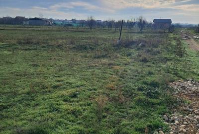 Teren de 2367 mp, în Nojorid - 11