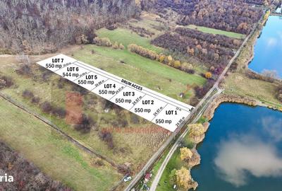 Spațiu comercial, în Sadu - 1