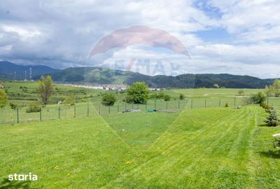 Teren de 1100 mp, în Tohănița - 13