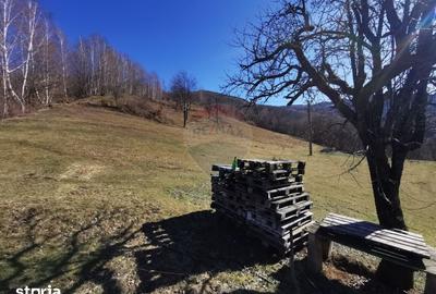 Teren de 10100 mp, în Bulz - 2