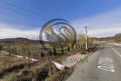 Teren Construcții intravilan de 26908 mp, în Iedera de Jos - 2