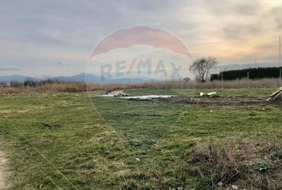 Teren Construcții intravilan de 700 mp, în Bod - 4