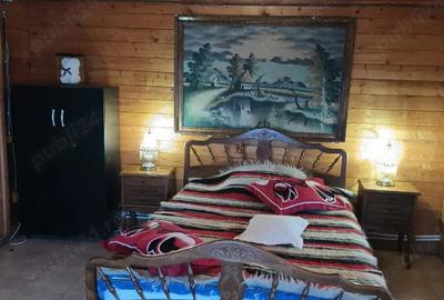 Vand casa la tara - 1