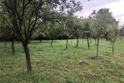 Teren de 1000 mp, în Valea Mare - 4