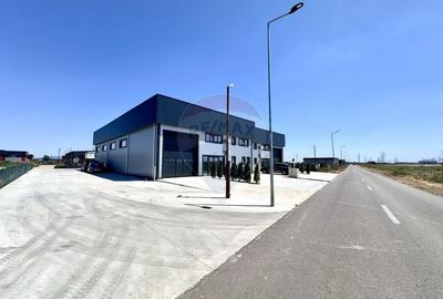 De vanzare -  Hala industriala in Domnesti, | Acces rapid la Centura - 2