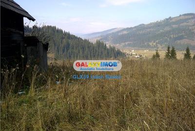 Teren intravilan de 12730 mp, în Central - 10