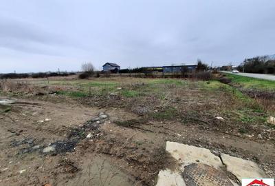 Teren de 12216 mp, în Vetiș - 1