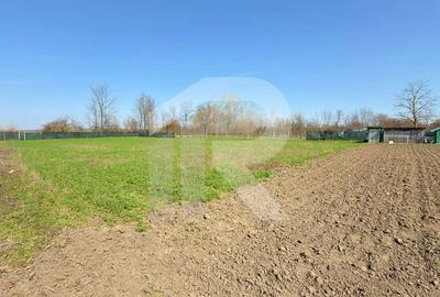 Casă individuală cu 4 camere cu Canalizare în Tătărăștii de Sus - 27