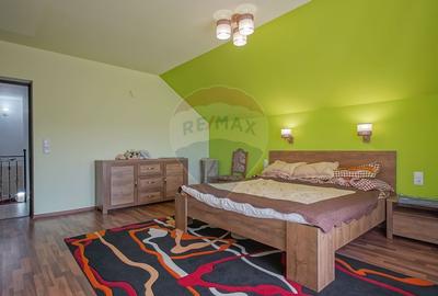 Casa individuala in Carpinis, 1093 mp teren, mobilata, zona linistita - 27