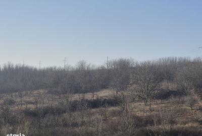 Teren de 400 mp, în Miroslava - 1