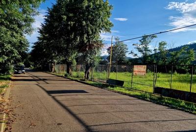 Teren 1,749mp Piatra-Neamt / Strada Zambilelor - 25