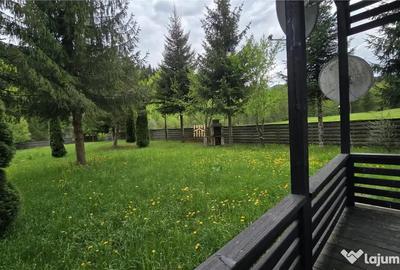 Casă cu 7 camere cu Teren 2000 Mp în Mălini - 10