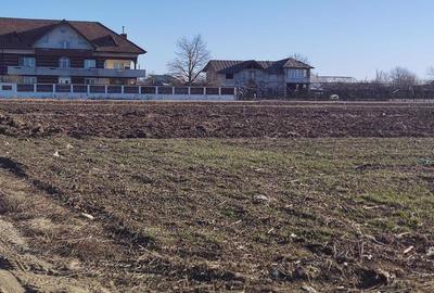 Teren de 830 mp, în Mogoșești - 5