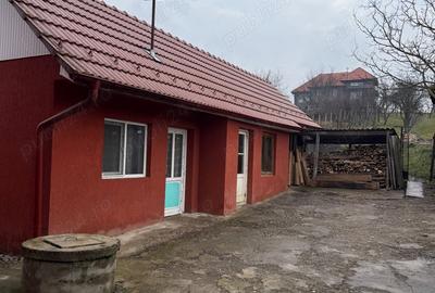 Casă cu 5 camere în Sărmașu - 8