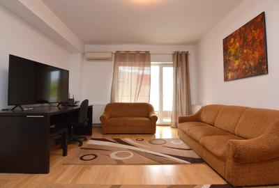 INCHIRIERE APARTAMENT 2 CAMERE BABA NOVAC - STR. SAPTE DRUMURI - 9