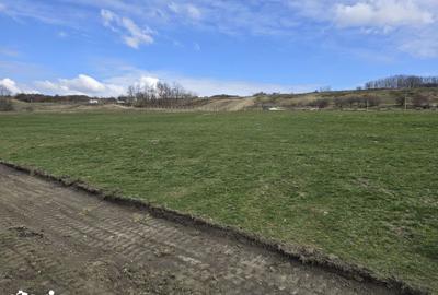 Teren de 1000 mp, în Central