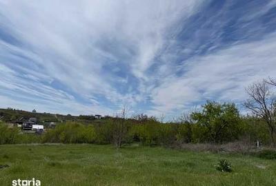Teren de 7000 mp, în Miroslava