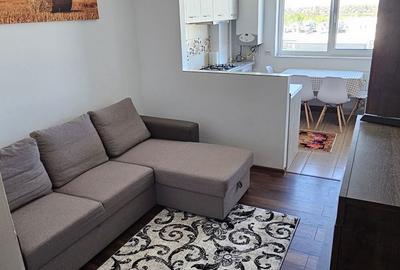 Apartament cu 2 camere decomandat în Dealu Mare - 7