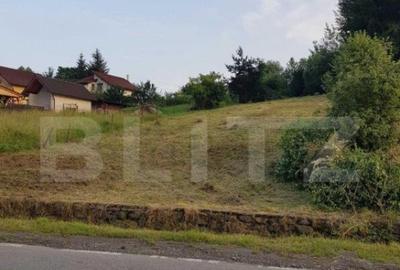 Teren intravilan de vanzare, 790 mp, Bistrita - 3