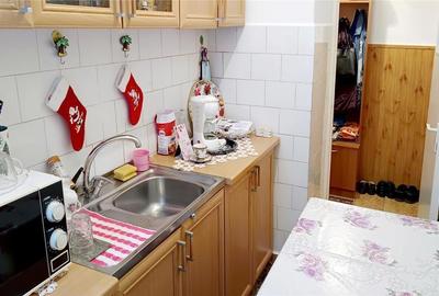 Apartament cu 2 camere semidecomandat în Moldova Nouă - 13