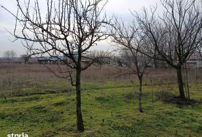 Teren de 4625 mp, în Frecăței - 1