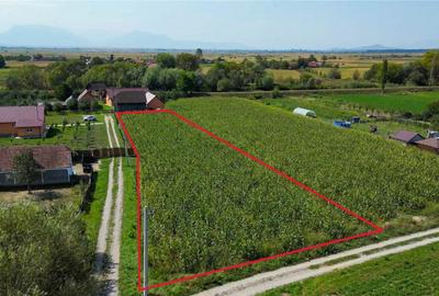 2.000mp intravilan, Bacel, zona linistita, intre Brasov si S - 4