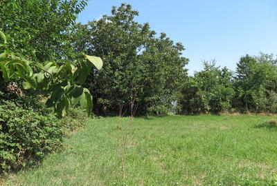 Teren de 17777 mp, în Central - 2