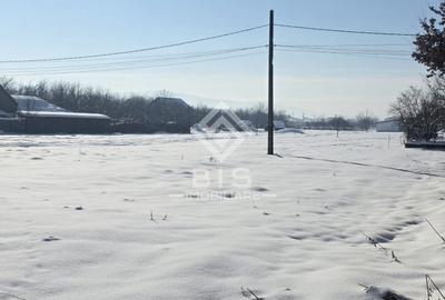 Teren cu suprafata 5300 mp intravilan - 5