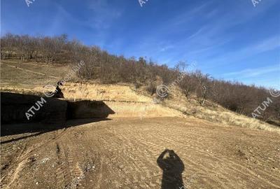 Teren intravilan de 1641 mp cu PUZ aprobat si utilitati in Cisnadioara - 2