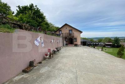 Spațiu comercial, de 600 mp, în Crișeni - 8