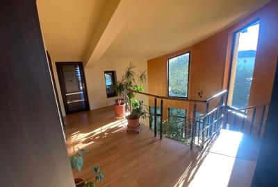 Proprietar - Casă deosebită de vanzare/închiriere Dumbrăvița, jud Timis - 7