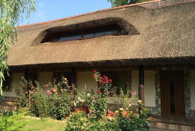 Casă cu 6 camere în Plopul - 5