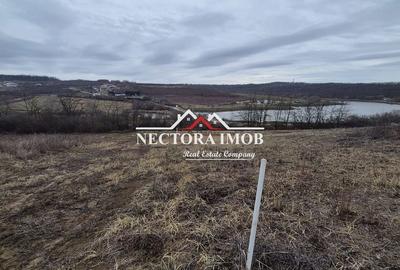 Spațiu comercial, în Paleu - 5