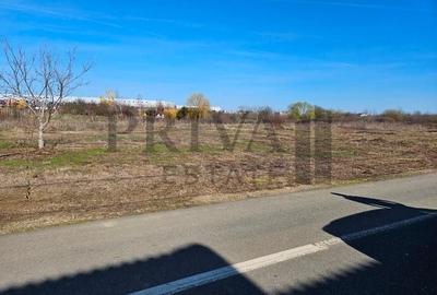 Teren Construcții intravilan de 602 mp, în Dumbrăvița - 3