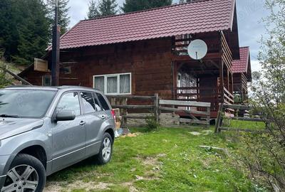 Casă cu 2 camere în Băișoara - 6