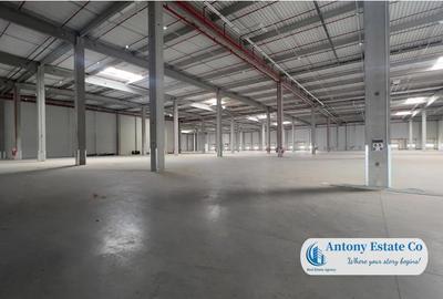 Depozit, Hala Industriala de inchiriat, Giarmata, Timisoara - 1