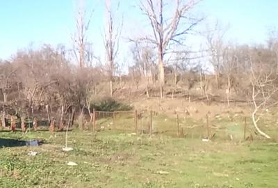 Casă cu 4 camere în Ciuchici - 2