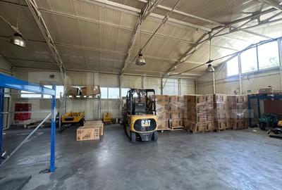Spațiu industrial, de 362 mp, în Sud-Vest - 2