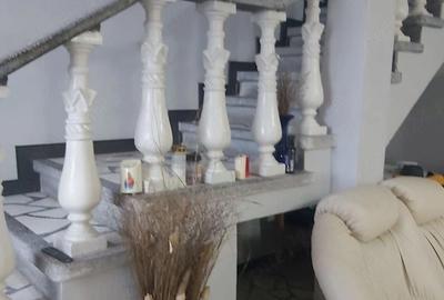 Casă cu 8 camere cu Teren 1500 Mp în Palanca - 3