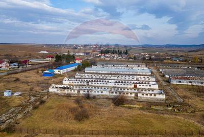 Spațiu industrial, de 800 mp, în Traian - 14