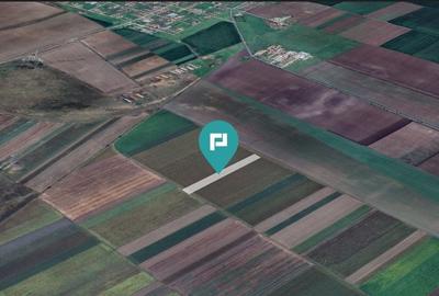 Teren extravilan de 14.500 mp în Caporal Alexa - 2
