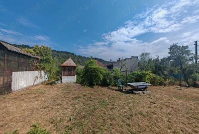 Casă cu 4 camere cu Teren 1239 Mp în Certeju de Sus - 1