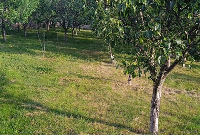 Casă cu 7 camere cu Teren 1200 Mp în Uliești - 4