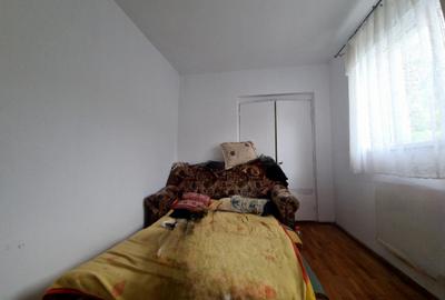 DOUA CASE DE VANZARE - ZONA  RACADAU - SINGUR IN CURTE - 14