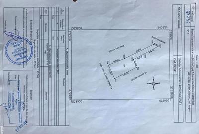 Casă cu 3 camere cu Teren 3000 Mp în Gorganu - 3