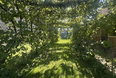 Casa De Vanzare LUNA - 1